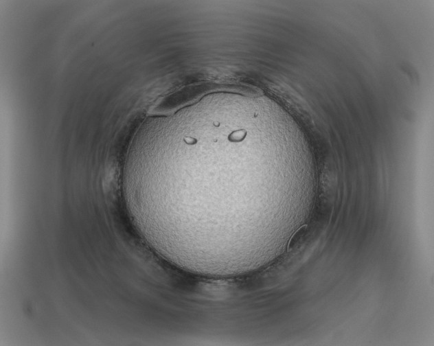 X0000115090079200911101533
