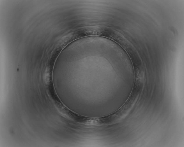 X0000115090080200911101533