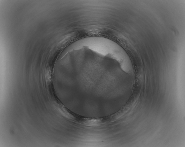 X0000115090081200911101533