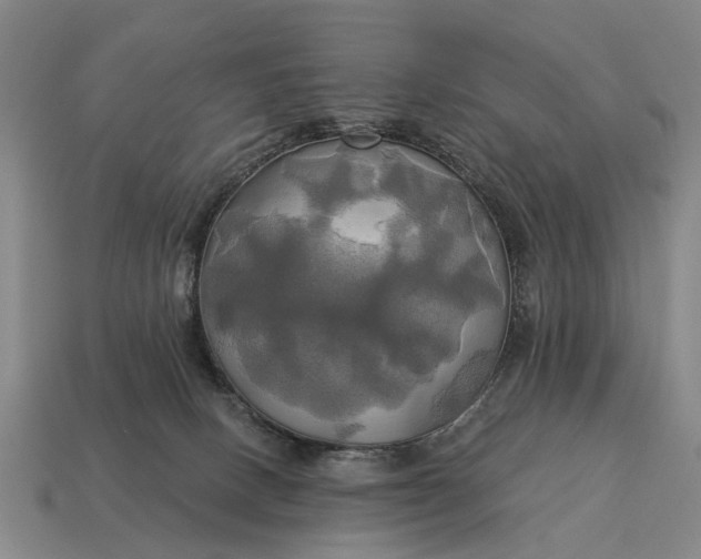 X0000115090082200911101533