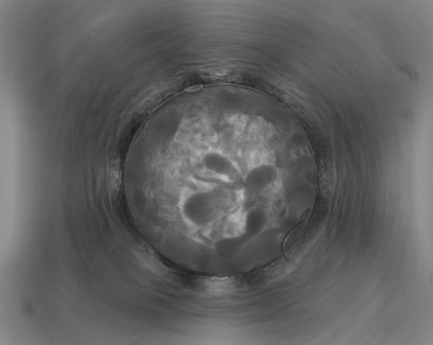 X0000115090085200911101533