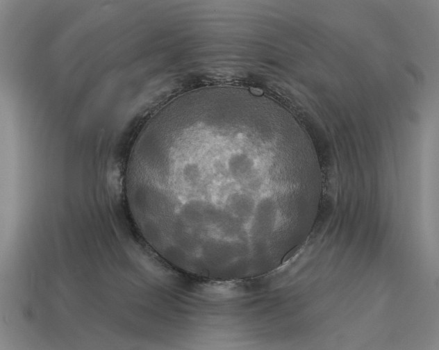 X0000115090086200911101533