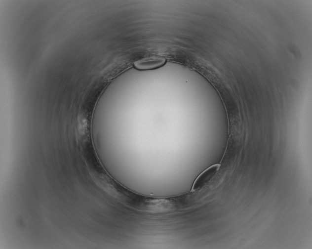 X0000115090087200911101533