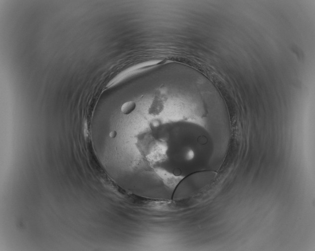 X0000115090089200911101533