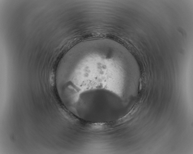 X0000115090090200911101533