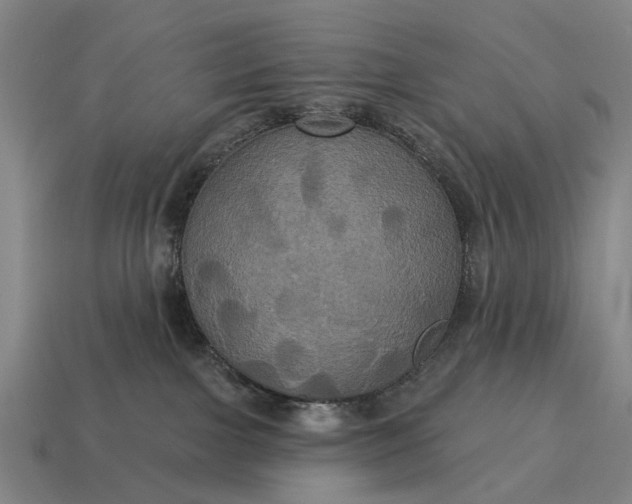X0000115090091200911101533