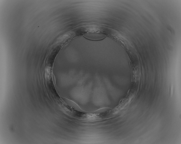 X0000115090093200911101533