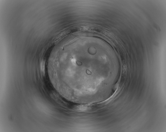 X0000115090094200911101533