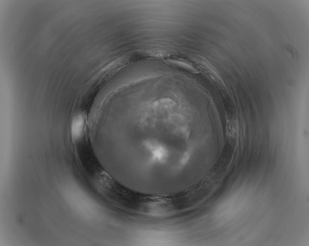 X0000115090095200911101533