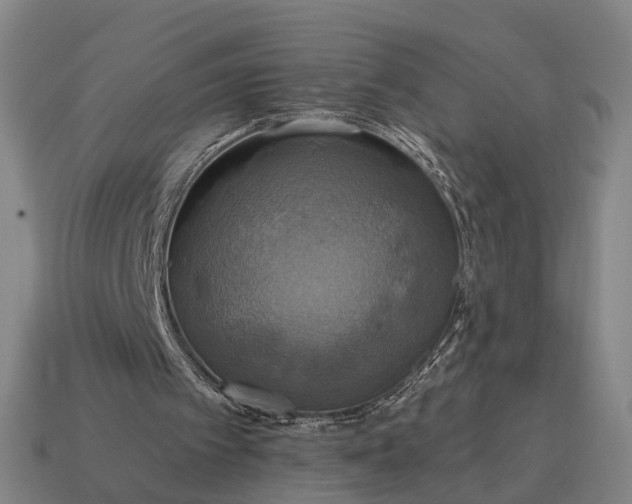 X0000115090097200911101532