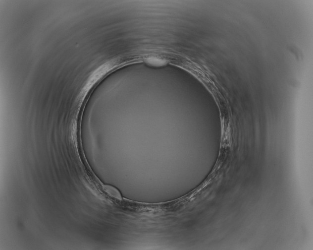 X0000115090099200911101532