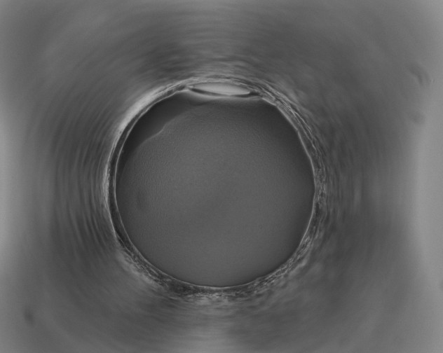 X0000115090100200911101532