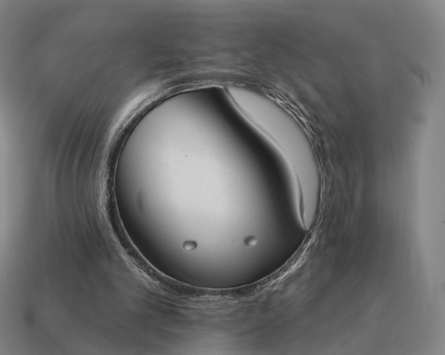 X0000115090101200911101532