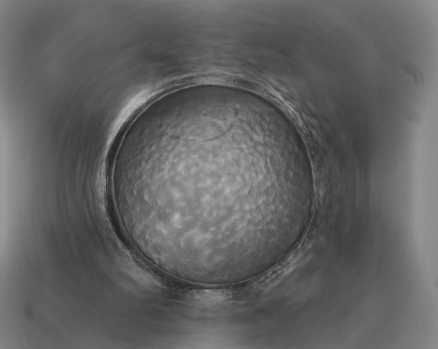 X0000115090102200911101532