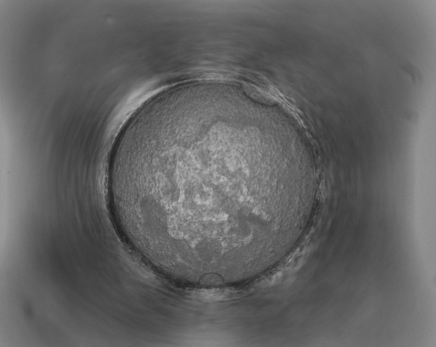 X0000115090103200911101532