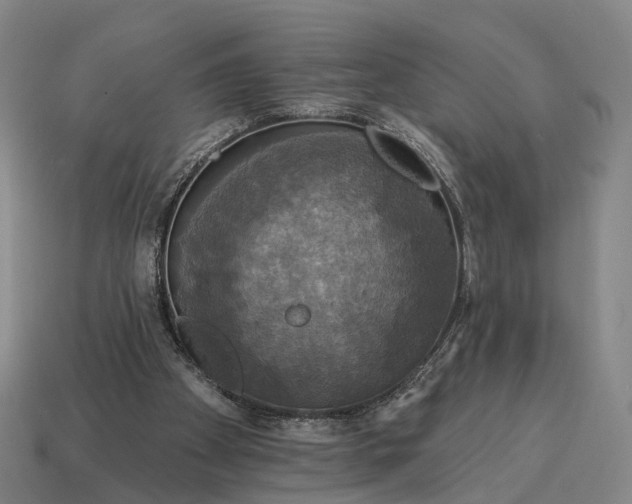 X0000115090105200911101532