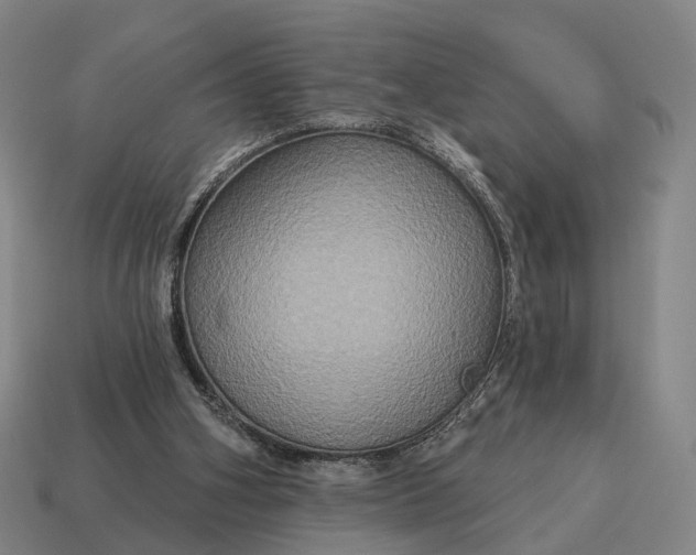 X0000115090106200911101532