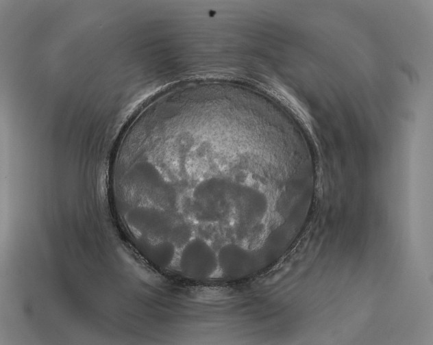 X0000115090107200911101532