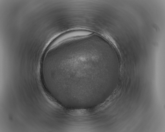 X0000115090108200911101532