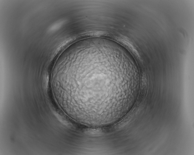 X0000115090110200911101532