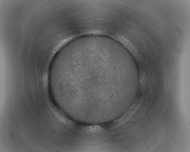 X0000115090112200911101532