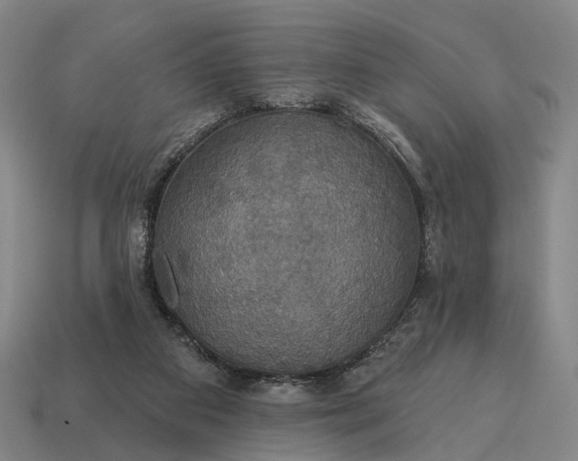 X0000115090113200911101532
