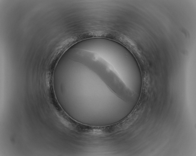 X0000115090114200911101532