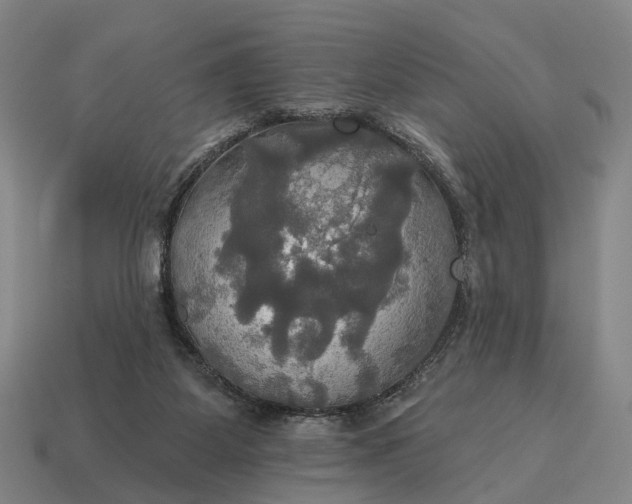 X0000115090115200911101532