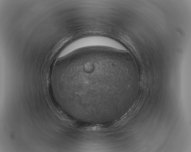 X0000115090116200911101532