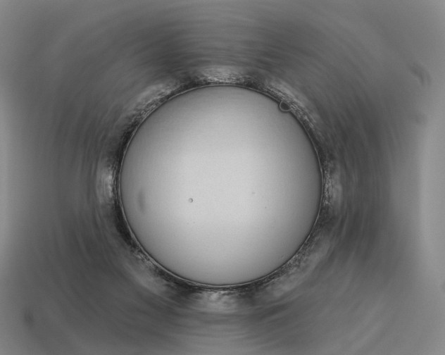 X0000115090117200911101532
