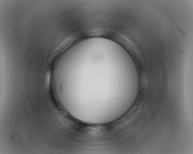 X0000115090118200911101532