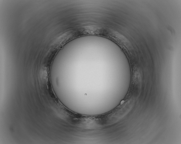 X0000115090121200911101532