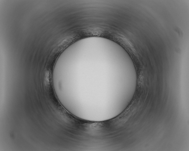 X0000115090122200911101532