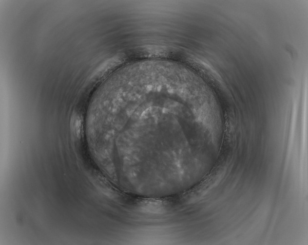 X0000115090123200911101532
