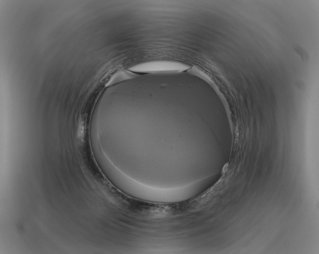 X0000115090124200911101532