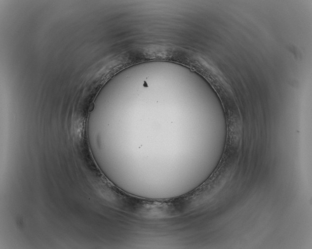 X0000115090125200911101532