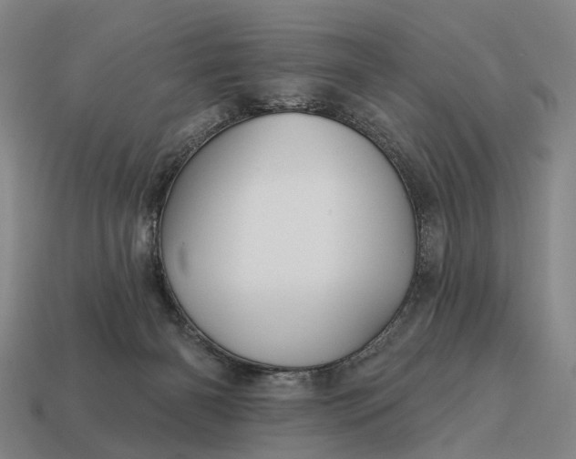 X0000115090126200911101532