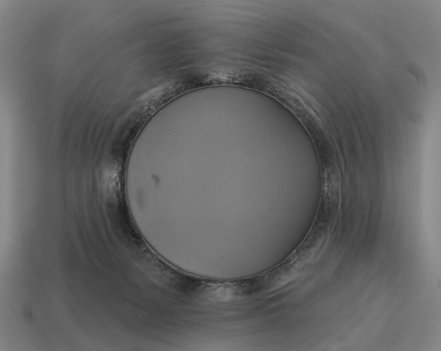 X0000115090127200911101532