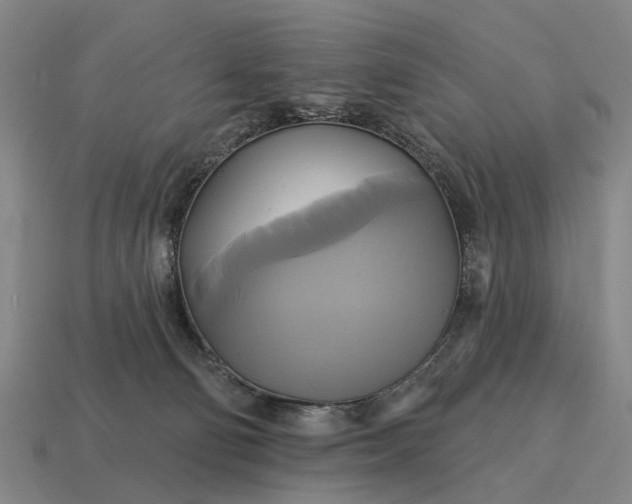 X0000115090130200911101532