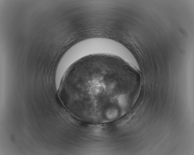 X0000115090131200911101532