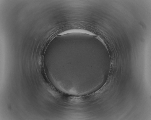 X0000115090132200911101532