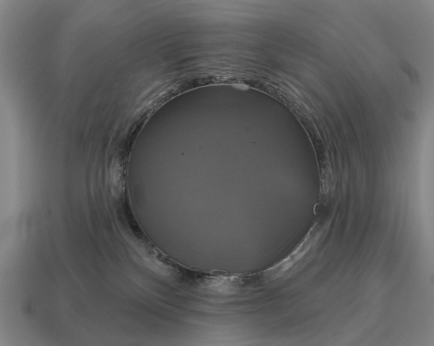 X0000115090136200911101532