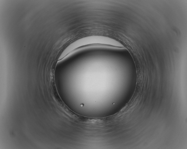 X0000115090137200911101531