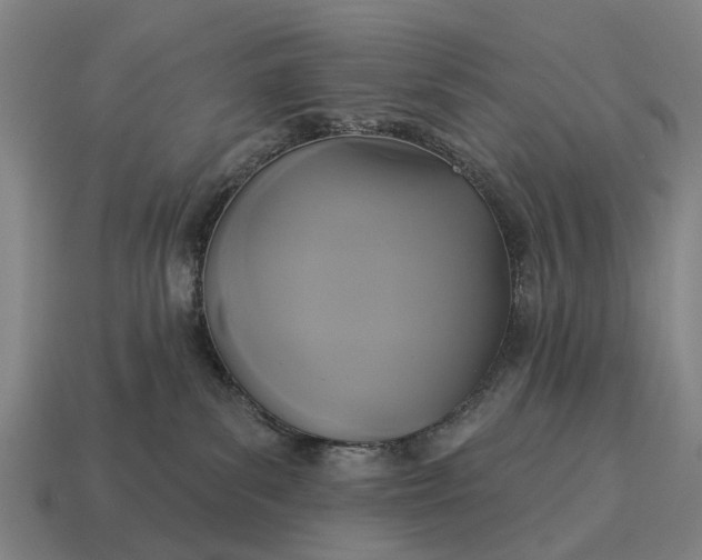 X0000115090139200911101531