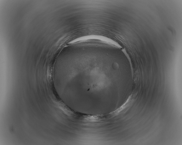 X0000115090140200911101531