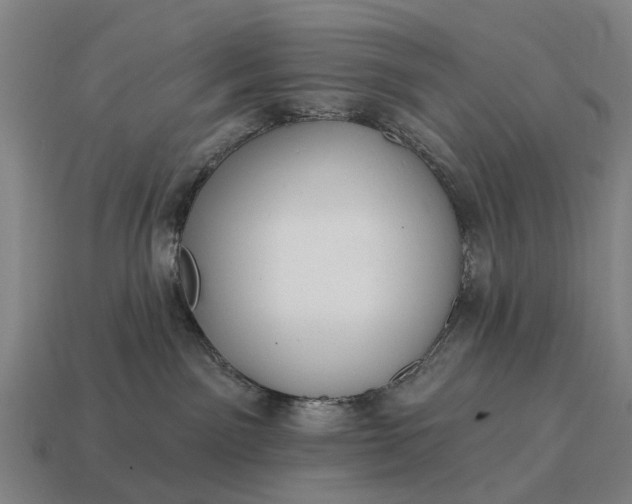 X0000115090141200911101531
