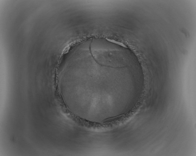 X0000115090144200911101531