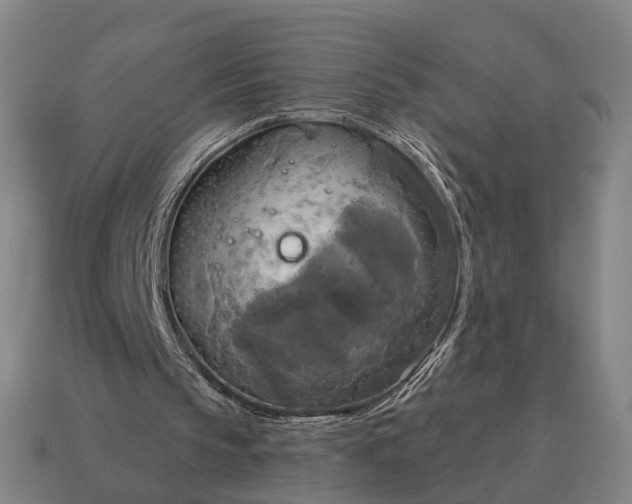 X0000115090145200911101531