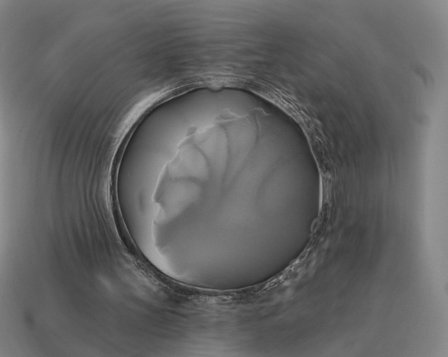 X0000115090147200911101531