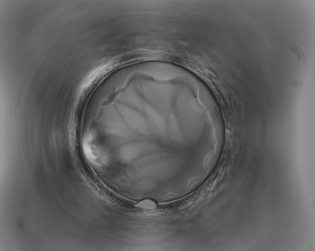 X0000115090149200911101531